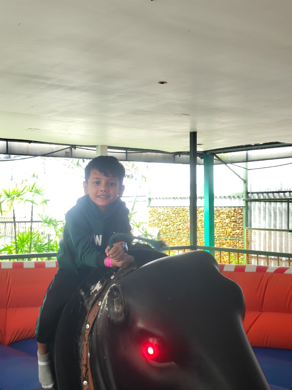 Riding the bull